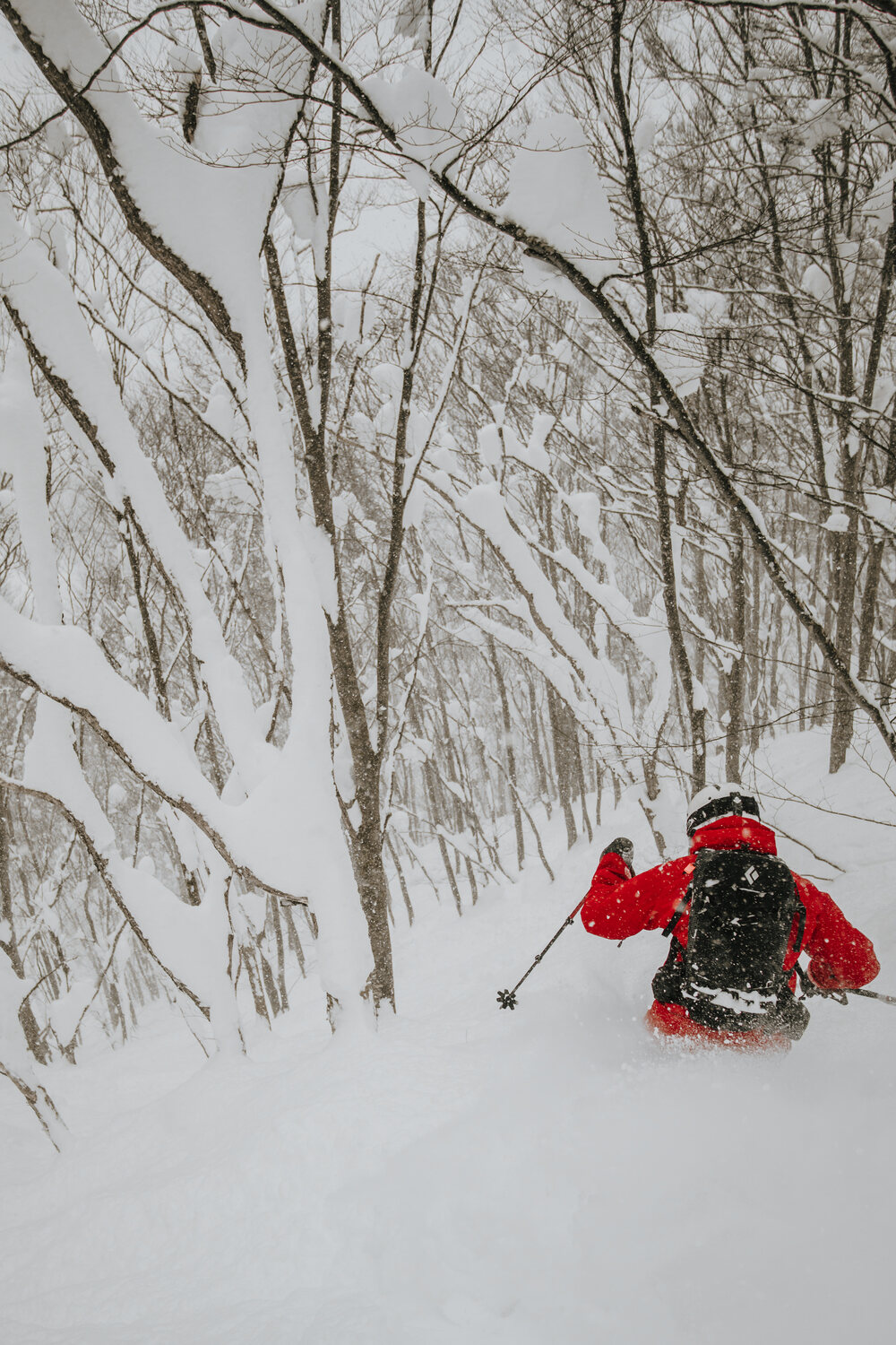 Tree skiing