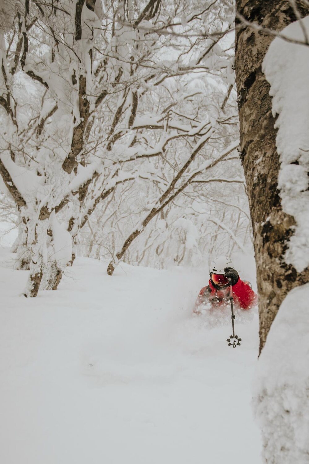Powder turn
